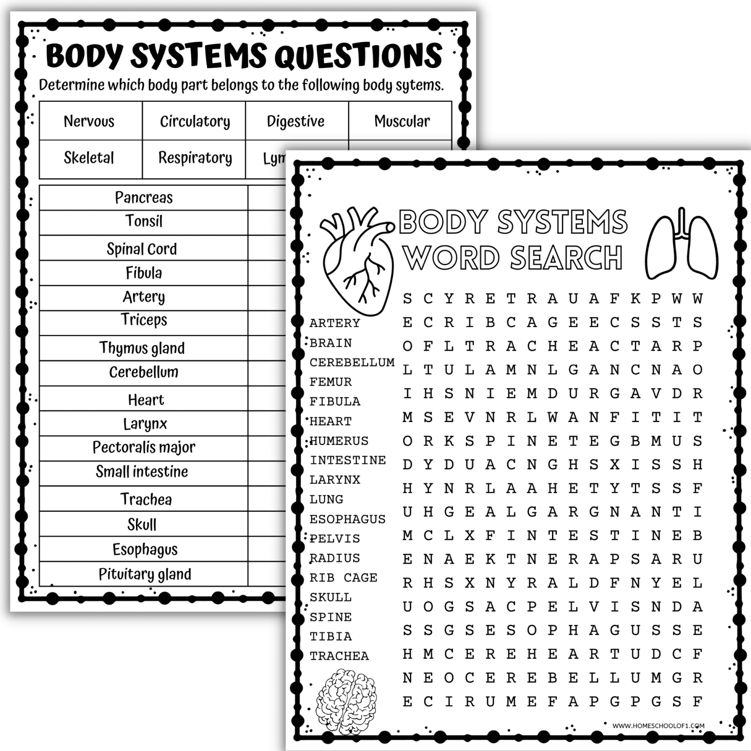 Human Body Systems Coloring Pages - Human Body Systems Unit 1536x1536 