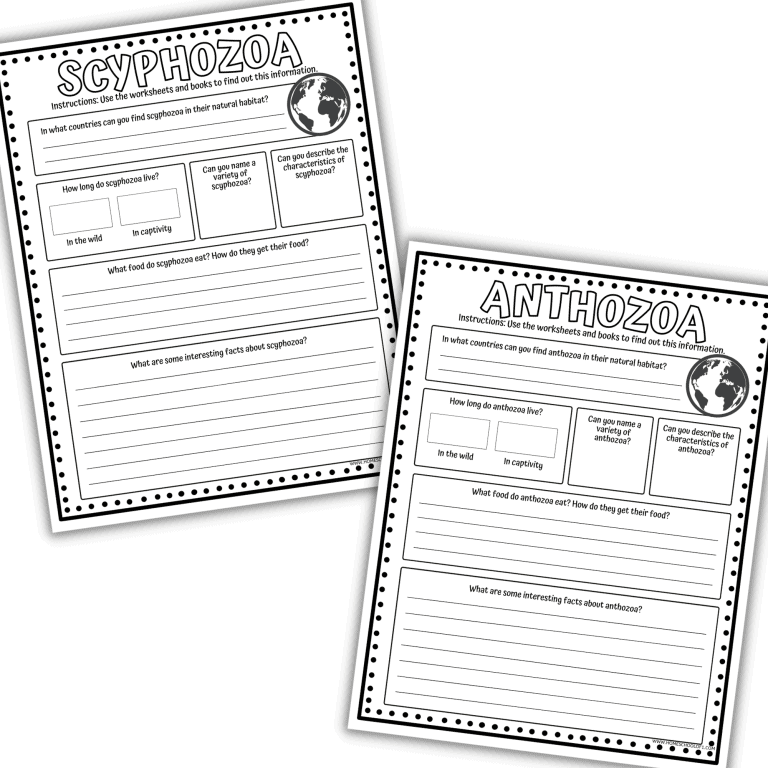 Jellyfish & Cnidarians Worksheet Bundle
