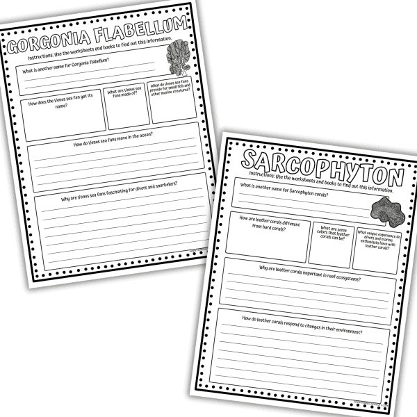 Coral Reef Worksheets