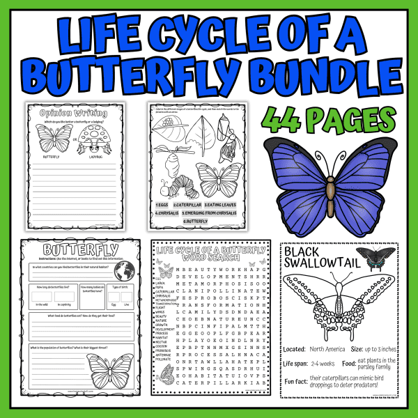 Butterfly Life Cycle Worksheet Bundle