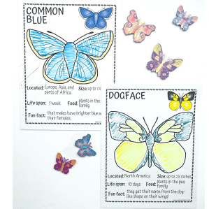Butterfly worksheets with species facts and life cycle information