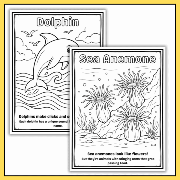 Ocean Coloring Book - Image 2