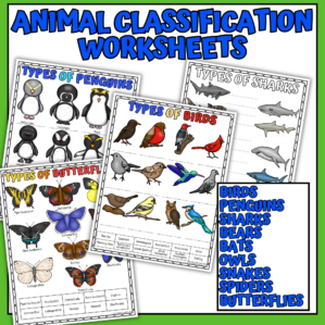 Animal Classification Worksheets Bundle