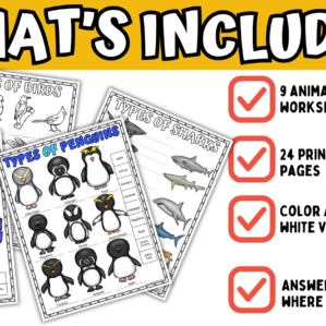 different types of animal worksheets