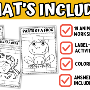 whats included in the animal anatomy worksheets