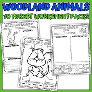 Woodland animal worksheets with 30 activities and answer keys