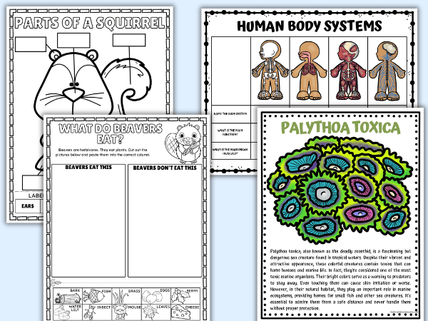 SCIENCE WORKSHEETS