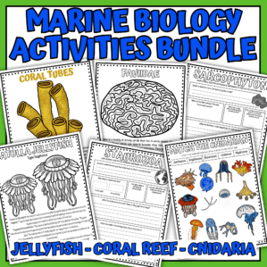 Marine Biology Worksheets Bundle